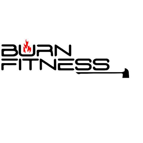 Jobs in Burn Fitness - reviews