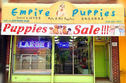 Jobs in Empire Puppies - reviews