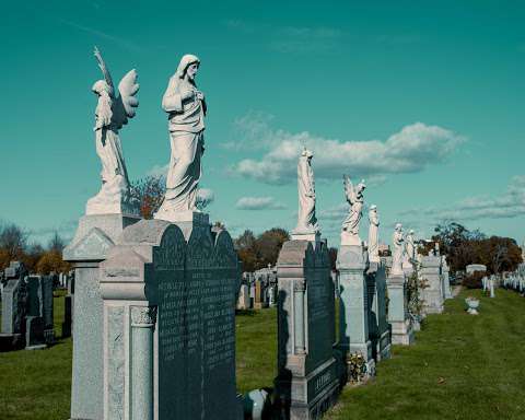 Jobs in Calvary Cemetery - reviews
