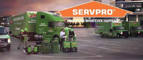 Jobs in Servpro of Ozone Park/Jamaica Bay - reviews