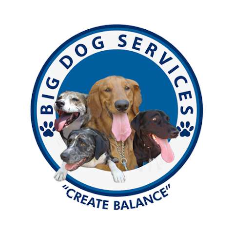 Jobs in Big Dog Services - reviews