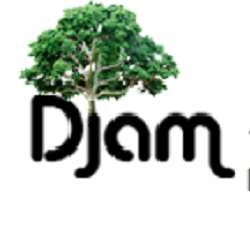 Jobs in Djam Insurance - reviews